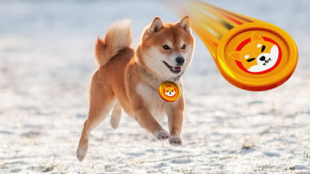 What is the burn rate of Shiba Inu?Â 