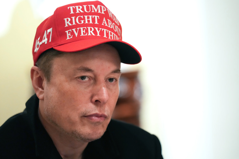 elon musk hat